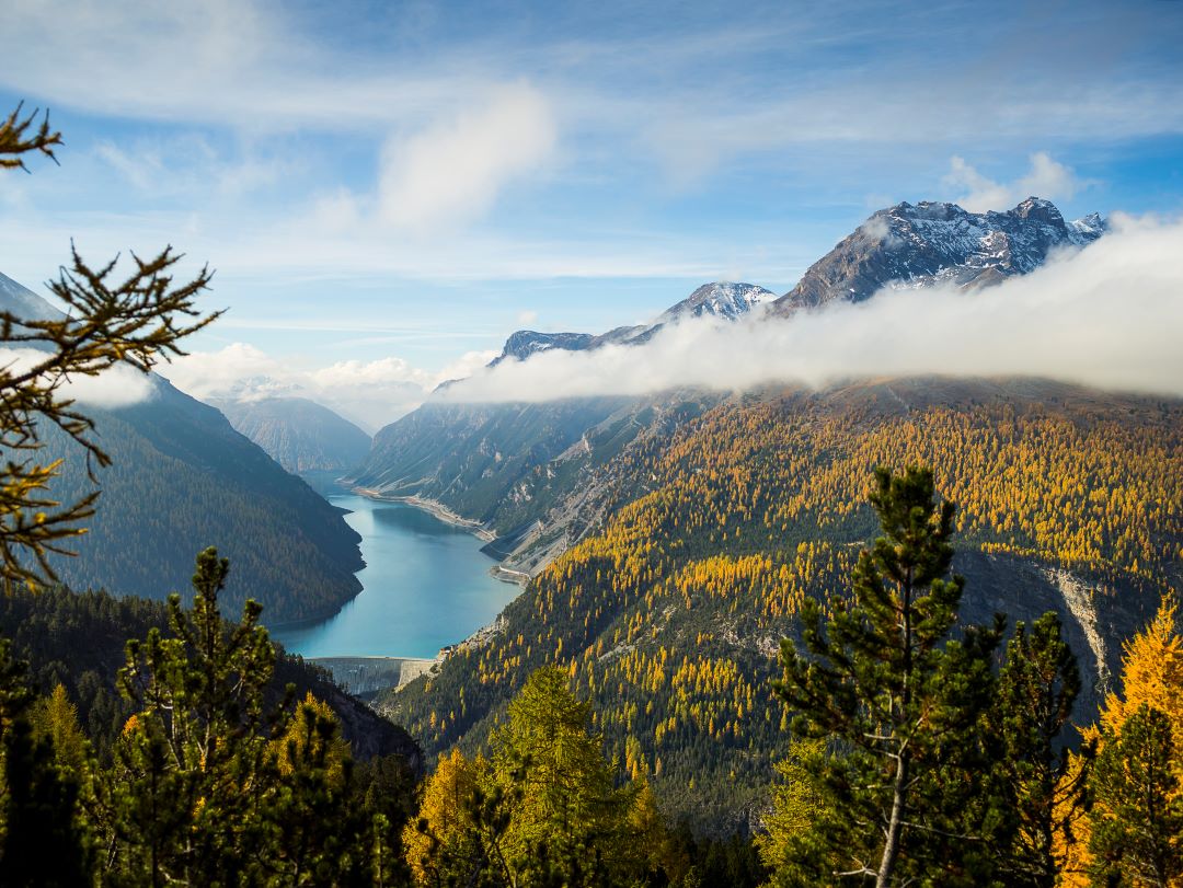 Ein weites Panorama mit einem Stausee und orangenen Bäumen